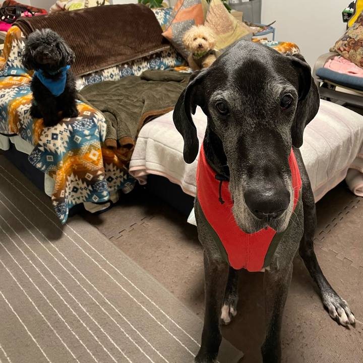 861b1b0c d97d 4f99 b165 4bc2ea4e6ae1 1639693830358