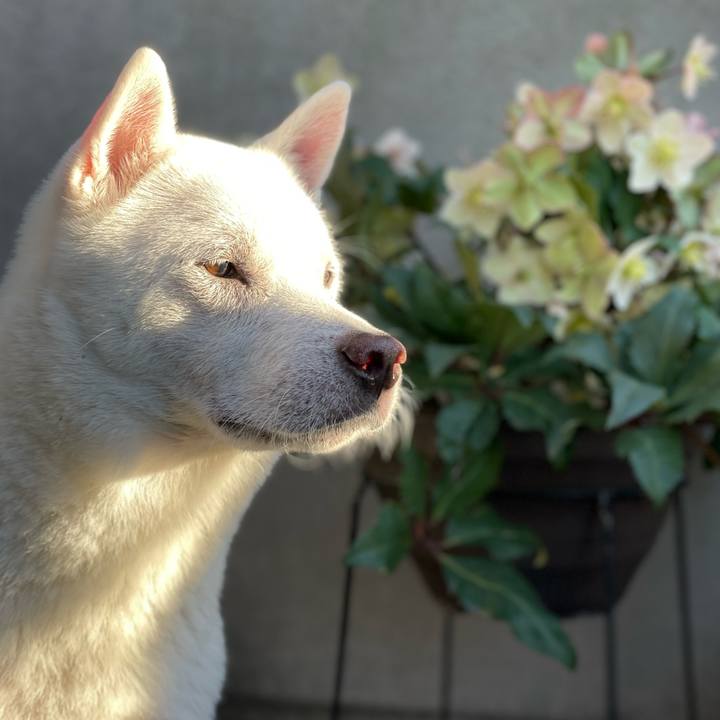 861b456e eb8e 4813 9413 b312c57e4454 1709368288531