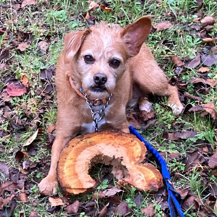 861b48a1 c64d 4034 b540 c7069e3c2e5a 1666695452893