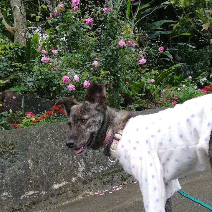 861b527d ee26 4db7 a84b 3f0e2a5d74de 1549687068246