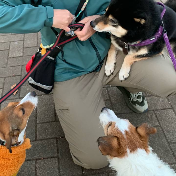 861b5c74 4941 4fa7 86a6 954310c88571 1764943423218