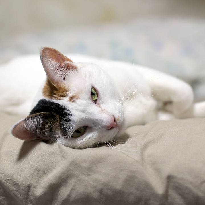 861b6c9a d0f0 469c 84d3 9b5e7dd22b95 1597790797394