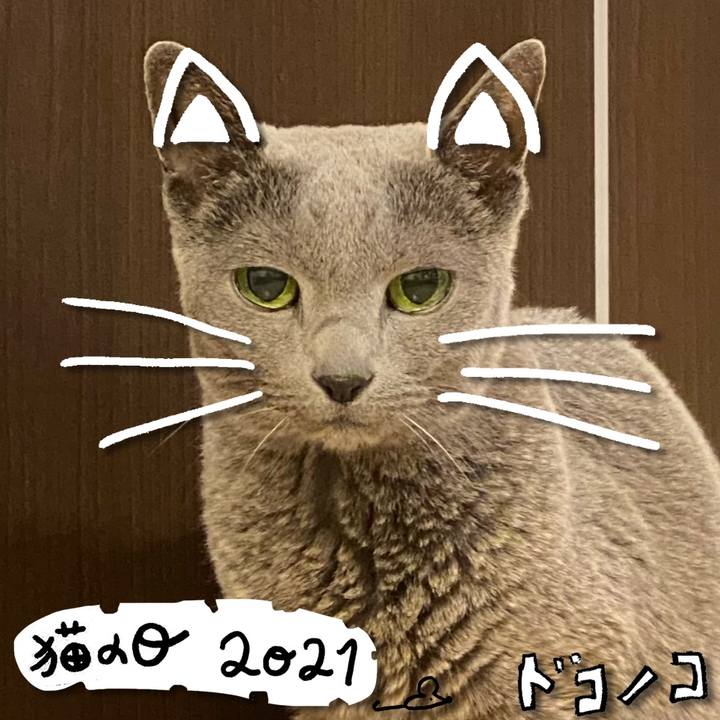 861b79e7 1bc9 4fd8 b376 27019373bc49 1613960422580