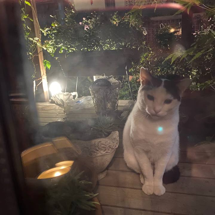 861bc007 4149 4c1d b139 e66f0f79241d 1605179753255