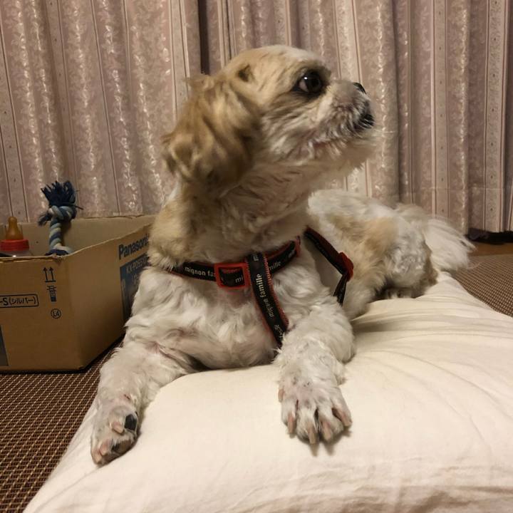 861bc894 46df 4cd4 a7d8 de1042bdf7f7 1598910167228