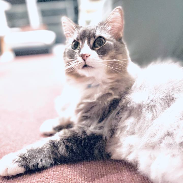 861bea41 33b0 4c45 b5e3 3c93a4e3d650 1745941154473