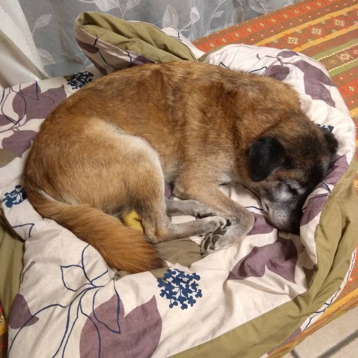 861bed1c 8dd6 44fa 886d 40739fcdc141 1570373558439