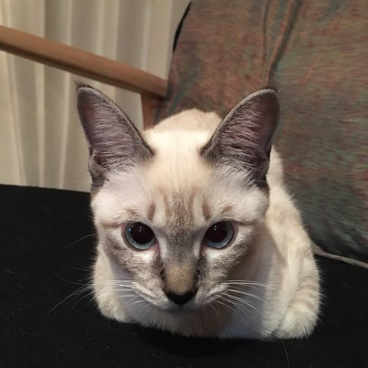 861bf828 b230 4184 8f53 0f9f0f25f6f4 1540296972367