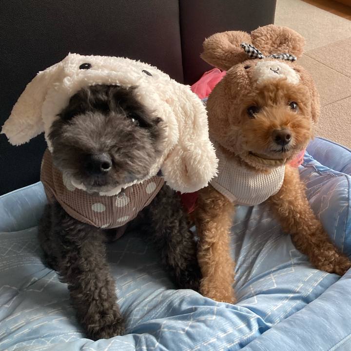 861bfe16 0150 472b b727 ba287b2db1b9 1664456423287