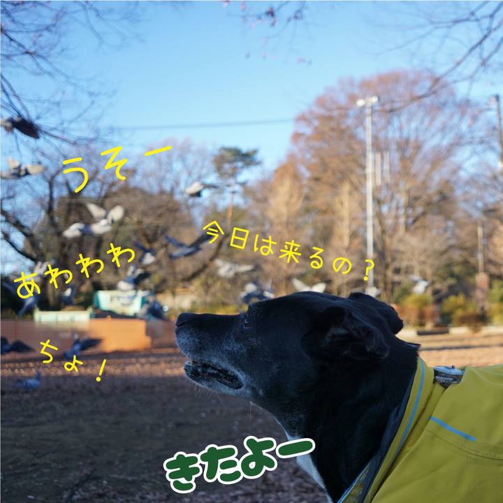 861c152e 0fe9 4288 ab82 4870a65b6af5 1767918002015