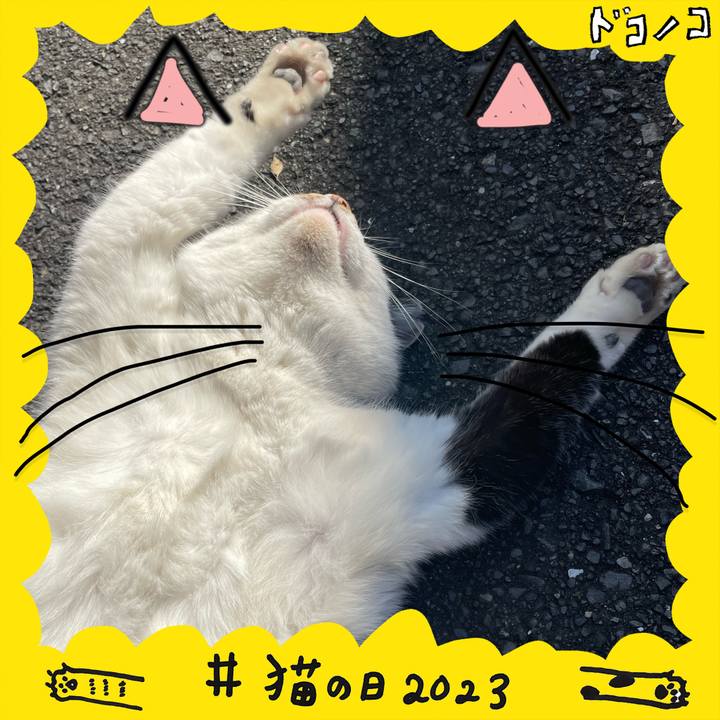 861c36f0 e71f 4bff 99d2 c77d67146ed4 1677056416226