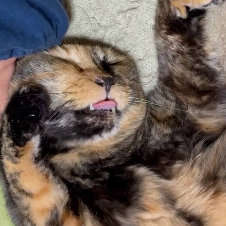 861c3987 566a 454f 951b 6803bd36e624 1753131874025