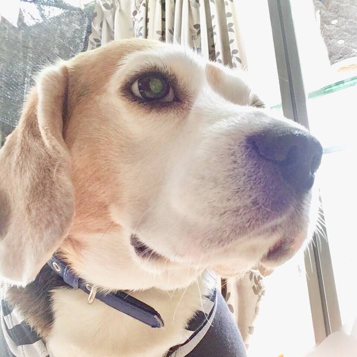 861c4a13 b38d 40db 9269 361069d0eb18 1550816264708