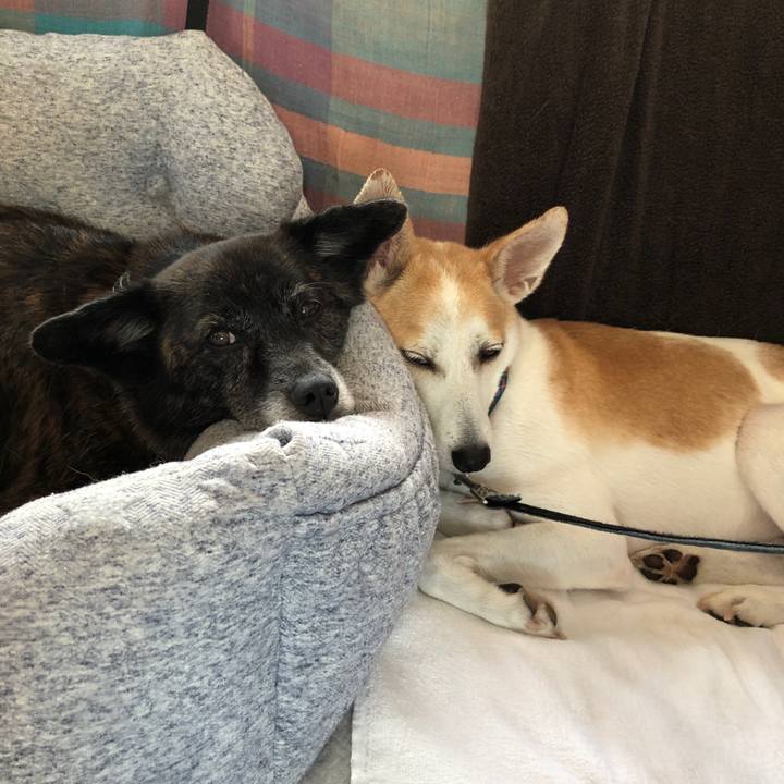 861c8191 ae24 4636 94c5 05473e28d1e8 1599547927503