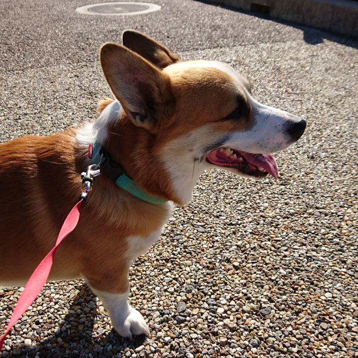 861ca117 7807 4ae2 8117 e7e76cf60488 1605075987924