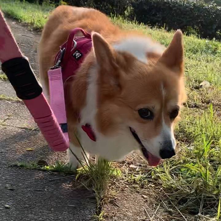 861cfdf4 1bb9 405e a355 0c29d5324e50 1684704601897