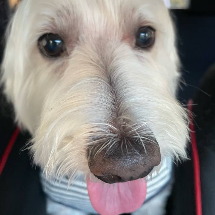 861d00f8 438d 45ae be1d 9de746a23aea 1731296020859