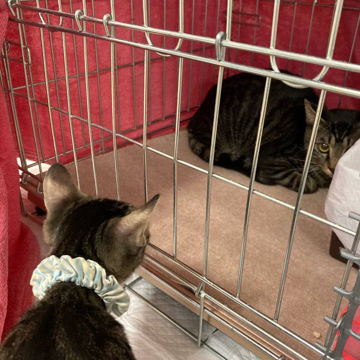 861d0333 bcf3 41d9 84f4 523dea81ce1d 1606082550515