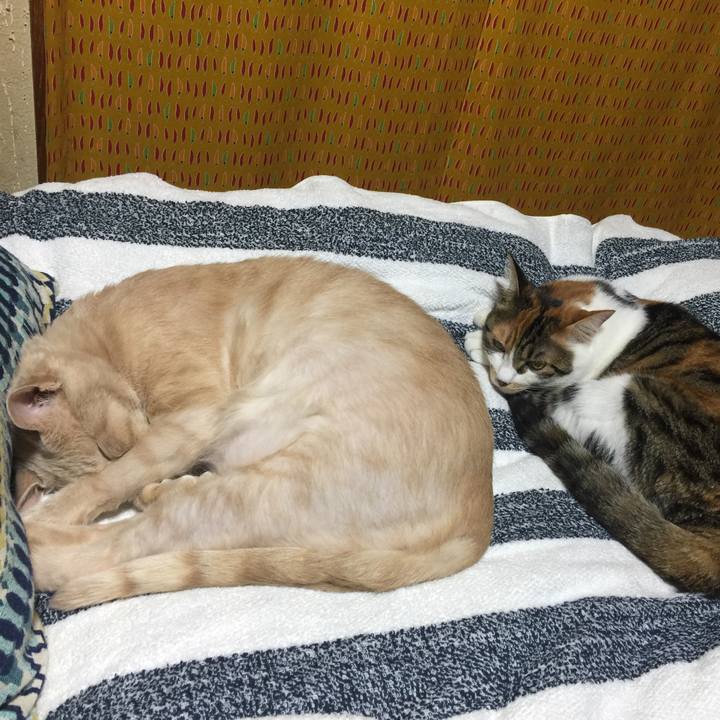 861d07f6 8752 4905 85d0 206c420f3817 1662472614596