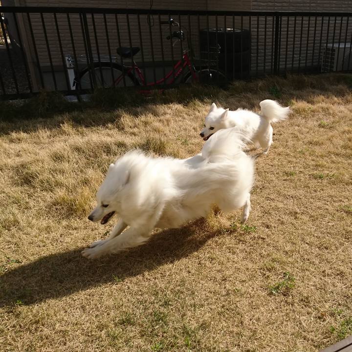 861d2978 3183 4869 969e f3d9765b2e88 1586590533425