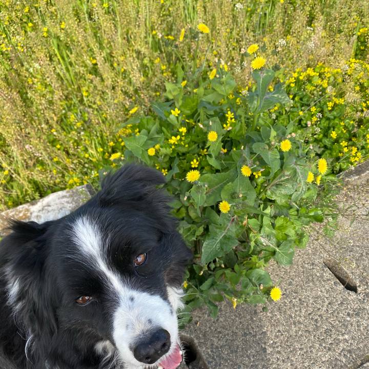 861d4e1f 059e 4cd6 89ef 575bcb4676b5 1616635491862