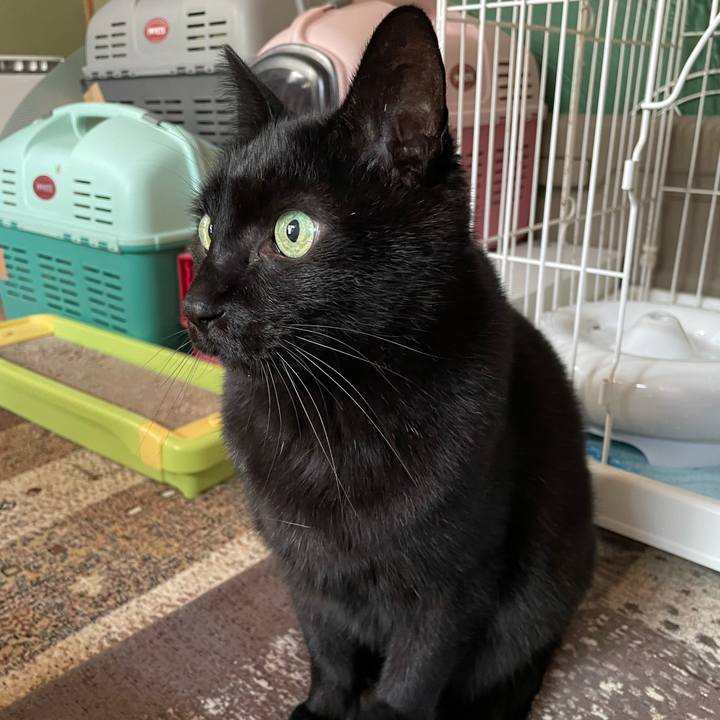 861d4e3c ca77 4110 99a1 1a5ac0959bb0 1610934183425