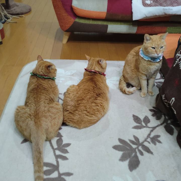 861d59d3 e2c7 47bd 94a4 ad6e86d36d4d 1645520007257