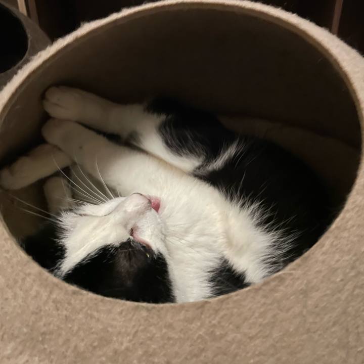 861d5a0f b098 4cce 82fb 4625391a593d 1715352468436