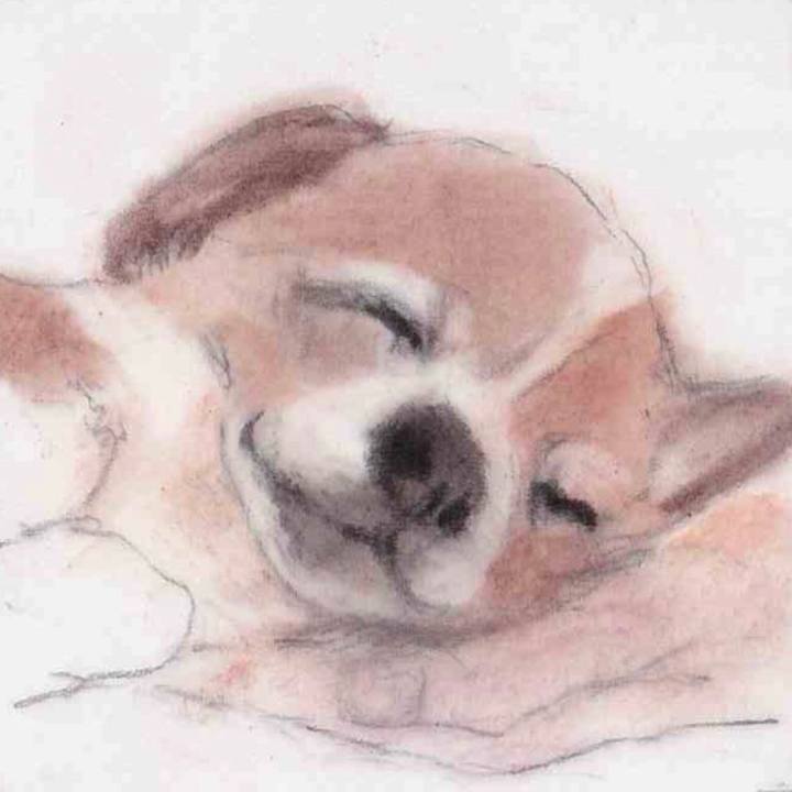 861d6927 fd17 4f82 a58a efadff0248f4 1663163299246