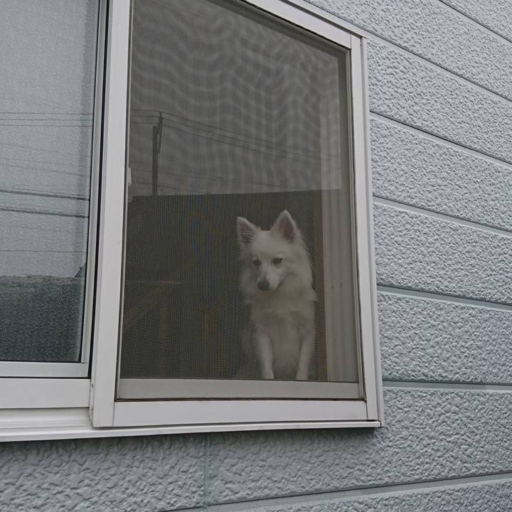 861d935b 35cb 4aaf aca2 daa15ddf93c7 1525244571040