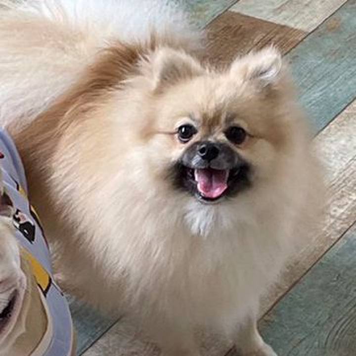 861d960d afb2 4487 b179 40899c204af6 1635480295107