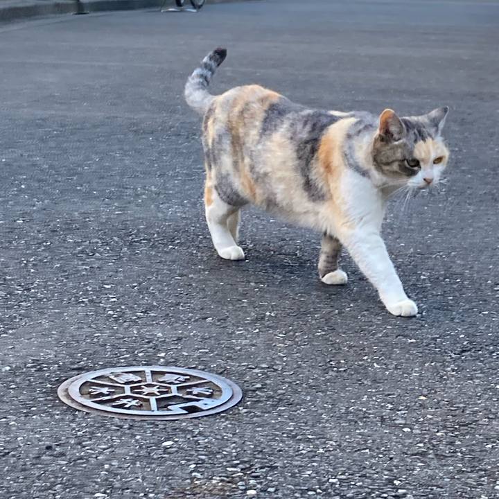 861d9d7a 51dc 4752 90ff 9e2615619a81 1700746085941