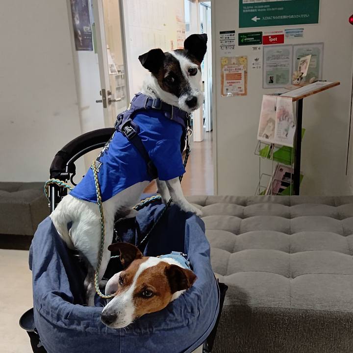 861dbe7f 16fe 46ba ac88 93370cb60d1d 1683371176577