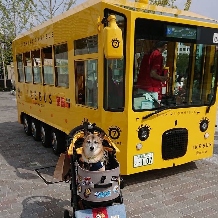 861dc46c abff 4739 bb68 1026ca772992 1601816256260