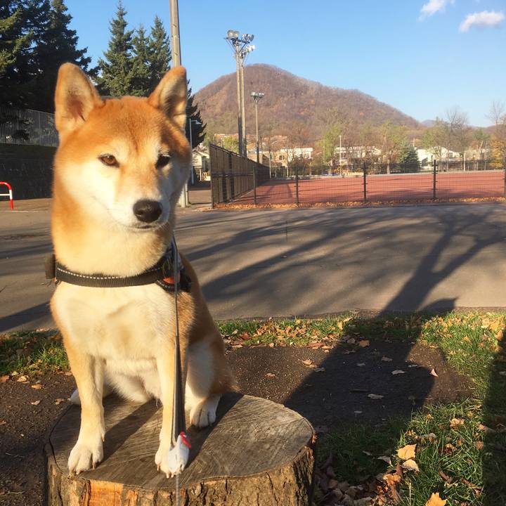 861de07e 107b 4940 a54d 0a592ca0d7be 1509934716966