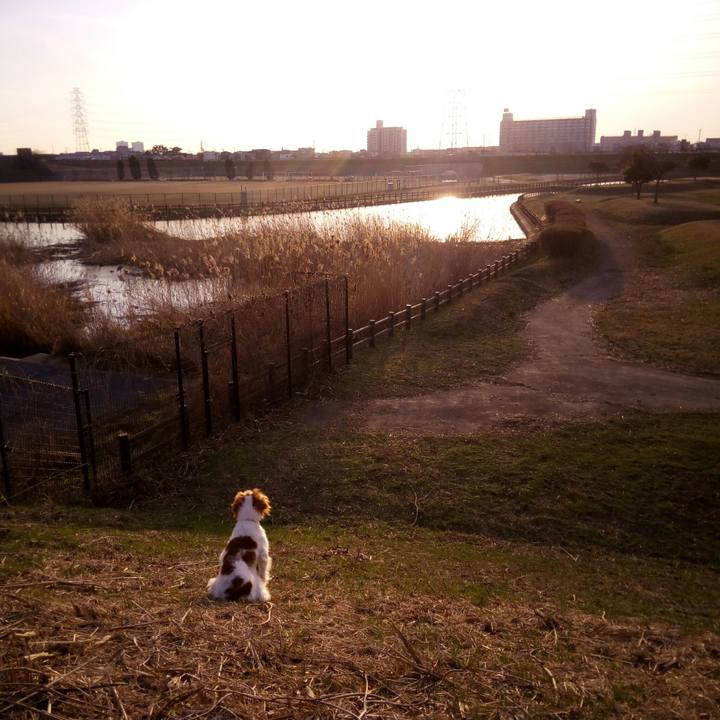 861e154f 2277 4ac8 9896 7f4769c6919d 1519733252859