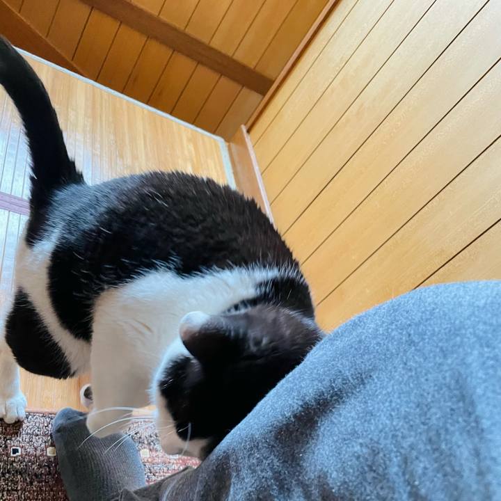 861e27e1 f95d 4cca ba72 7c698b7b3be6 1646790458792