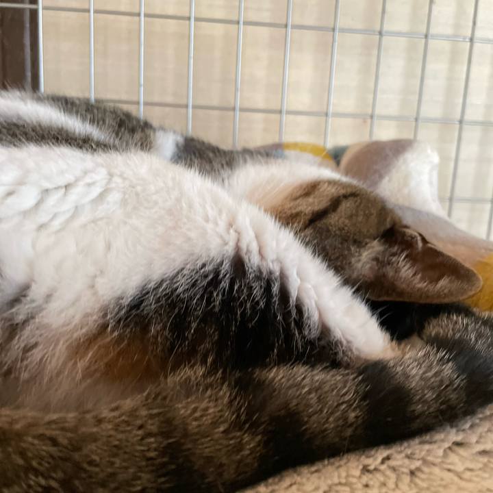 861e5a5d 392e 4d15 81d6 8dd9793a36ae 1654396294349