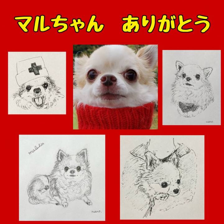 861ea02b 8b2e 4e32 becc 1bbdee70e5f2 1718571699764