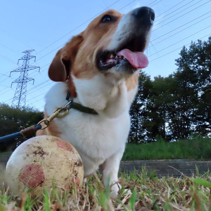 861eae5a 7467 44f6 828d b346bd377100 1633652461504