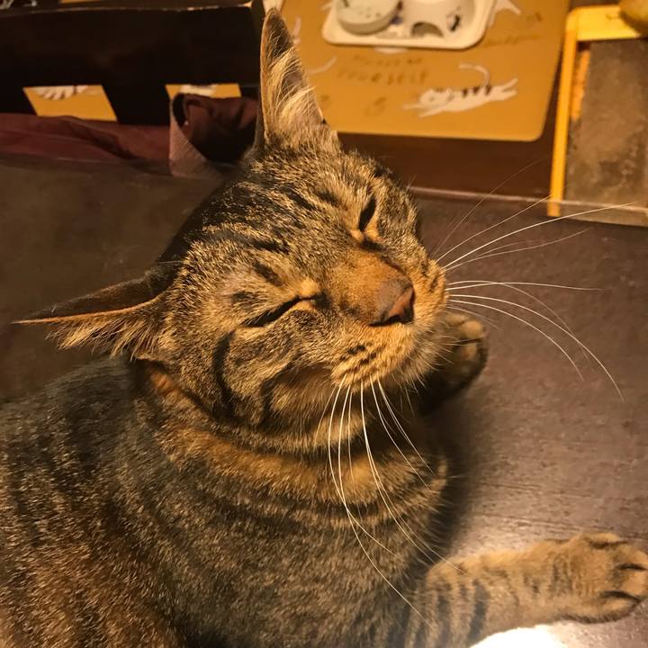 861ed652 4ca8 45cd 9ddd aea0839e55ed 1626092420036