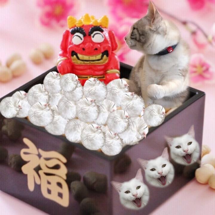 861efbd3 5e8e 45af a469 629ec7e121bd 1549110909155