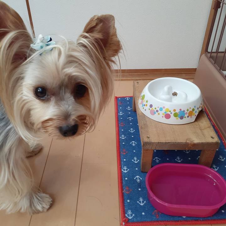 861f09ba 2dbf 451b 859a a310dd946aa7 1565130554929