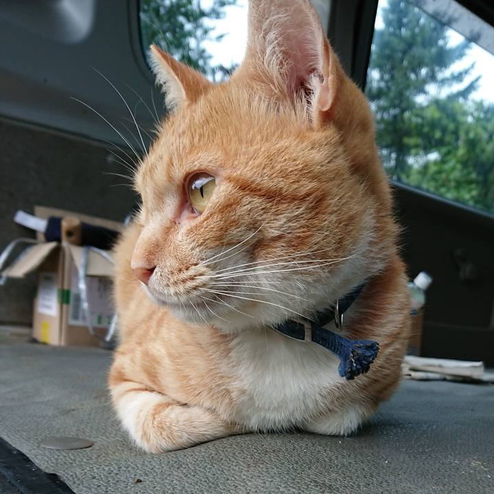 861f1f0b d1ac 41e7 9c84 eda73020e37c 1563828309966