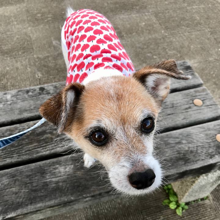 861f3cf5 7193 4ff9 9df5 192867101bc7 1631054708579