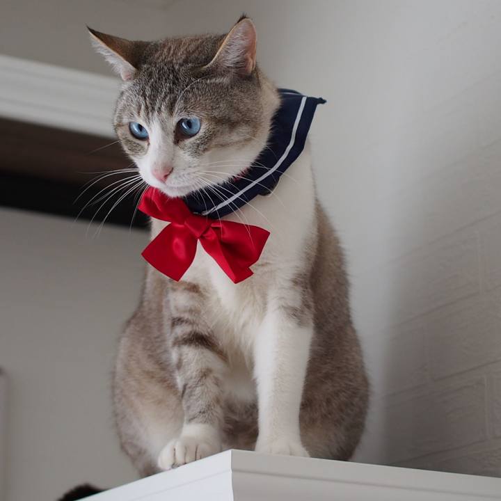 861f688c 2867 469d 9c86 50086fa98ec2 1561170089146