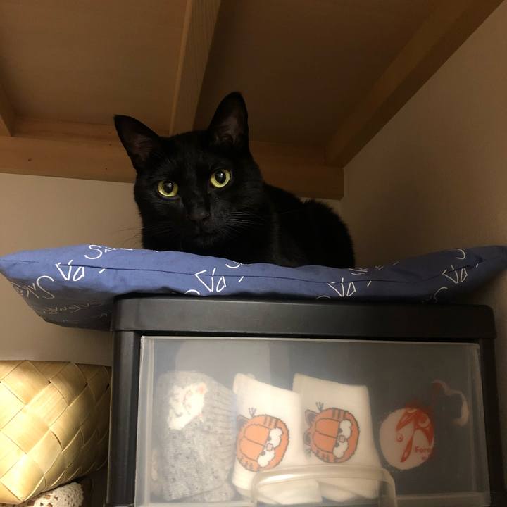 861f6a61 5393 4461 80ca 19927dc211f8 1581341000886