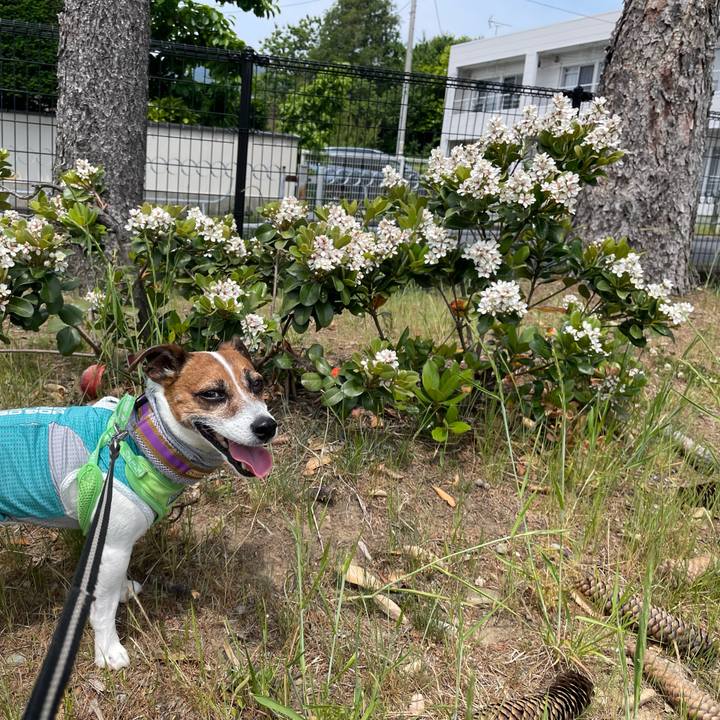 861f952b 4c93 4e2d 93b7 d6df810ee21e 1748045505650