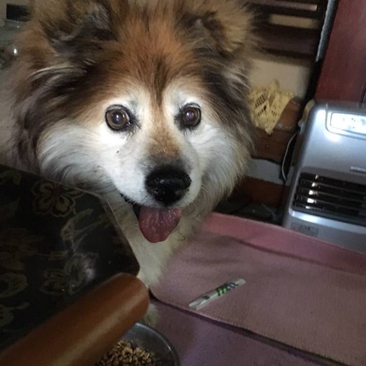 861fac37 0cd6 41ec 8a80 b0f55f785e10 1558479982535