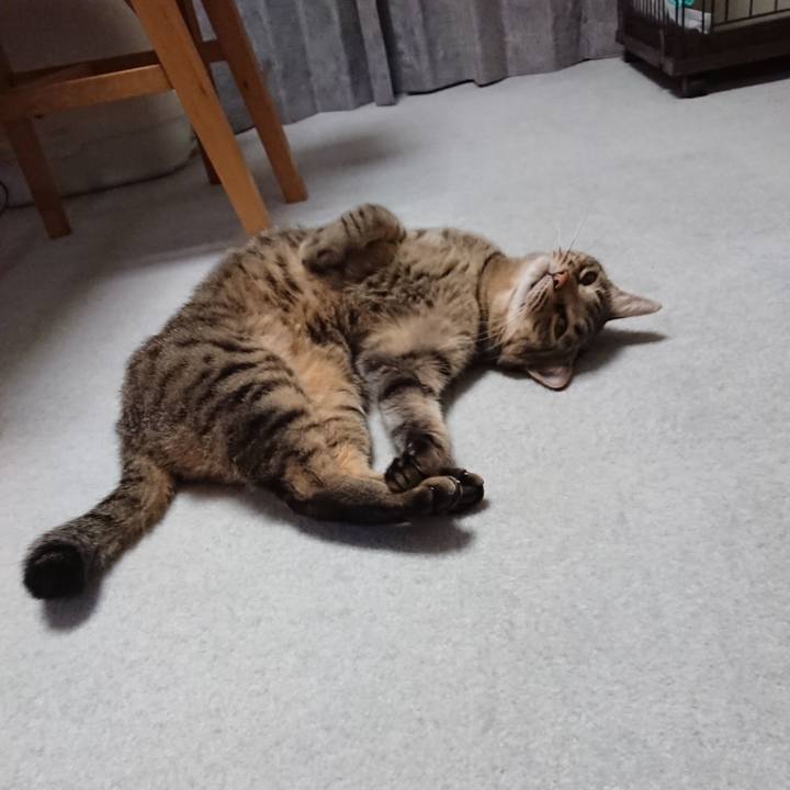 861fc1e4 8b75 42ac b4ae 281ef96c035c 1568629689685